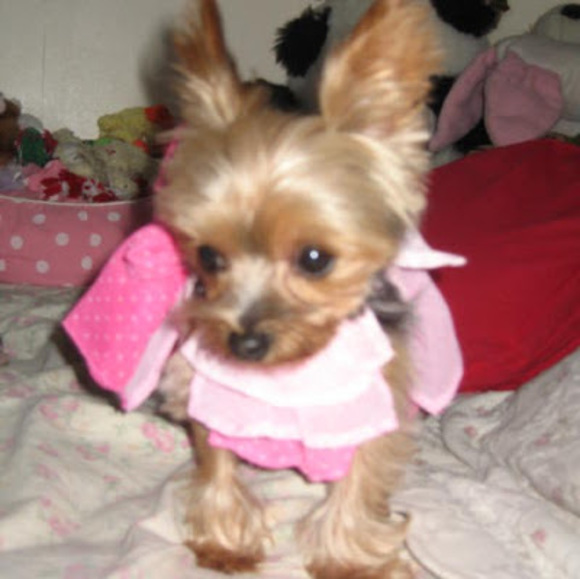 Meet your Posher, Staci - Picture 1 of 1